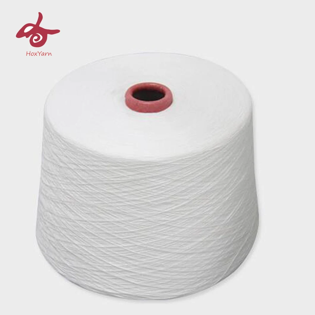 China Spinning 40/2 Polyester Spun Yarn
