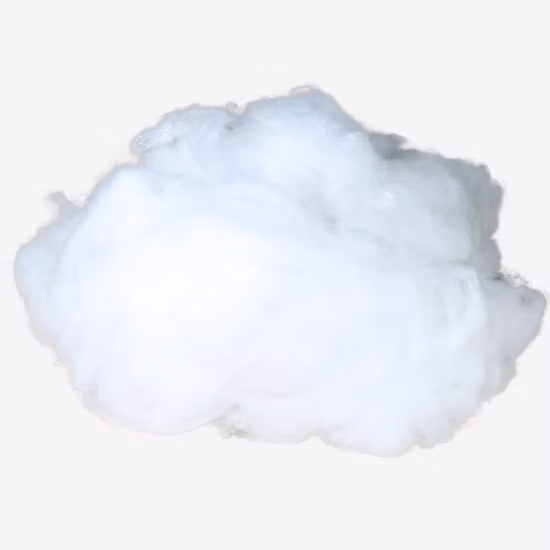 Hollow Nylon 6 Staple Fiber