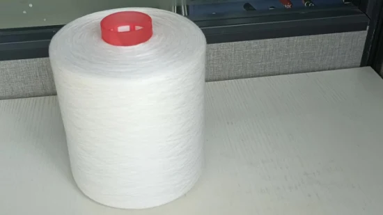 China Spinning 40/2 Polyester Spun Yarn