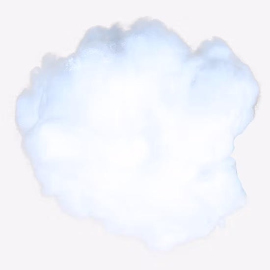 Hollow Nylon 6 Staple Fiber