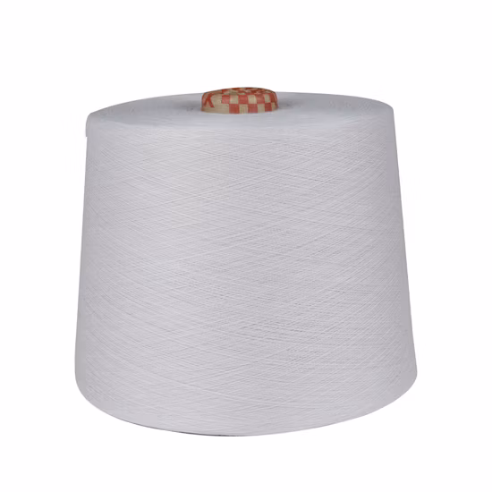 China Spinning 40/2 Polyester Spun Yarn